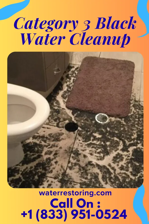 Category 3 Black Water Cleanup in Bird City, KS
