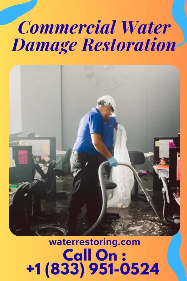 Commercial Water Damage Restoration in Bird City, KS