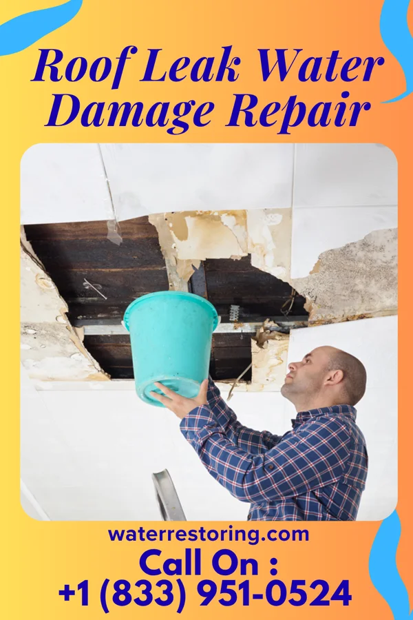 Roof Leak Water Damage Repair in Bird City, KS